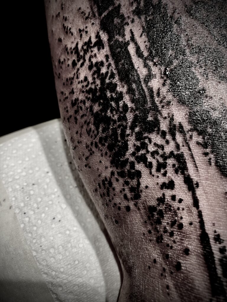 Splash Brushstroke Tattoo Innsbruck Woodpecker