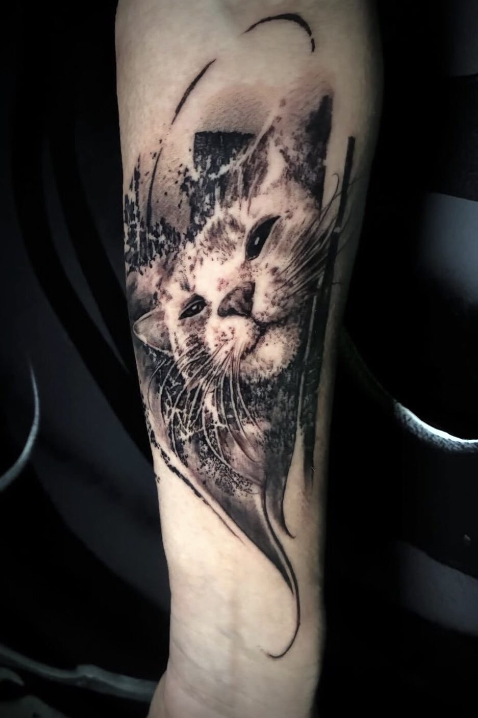 Katze Portrait mit Splash Tattoos & Brush Stroke Tattoos Innsbruck